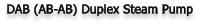 DAB (AB-AB) Duplex Steam Pump