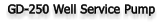 GD-250 Well Service Pump
